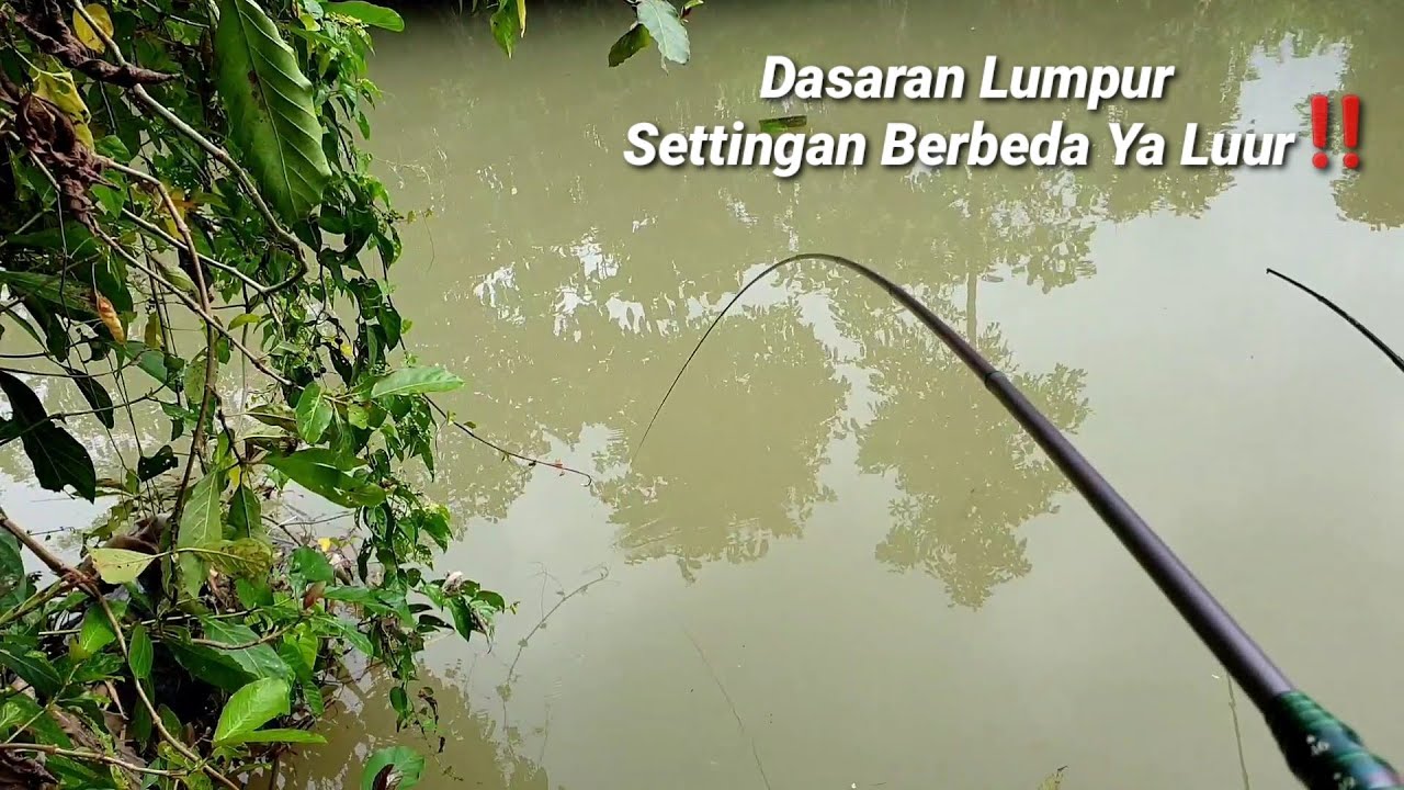 Mancing Nilem Dasaran Lumpur  itu Berbeda Tehniknya #Nilem #melem #waderijo