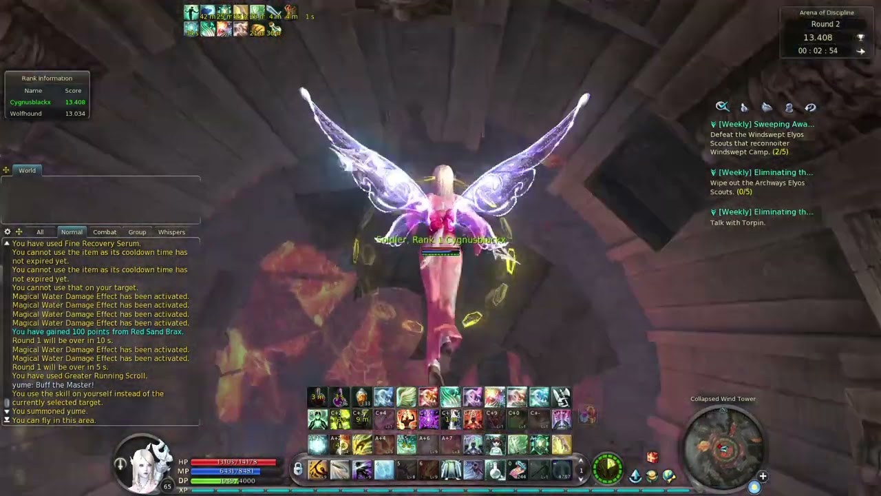 Euro Aion 4.6 Chanter PVP Arena of Discipline