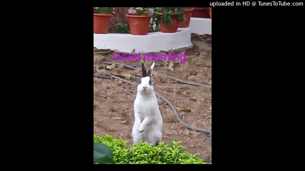 Tu mujhe bhul gaya hai