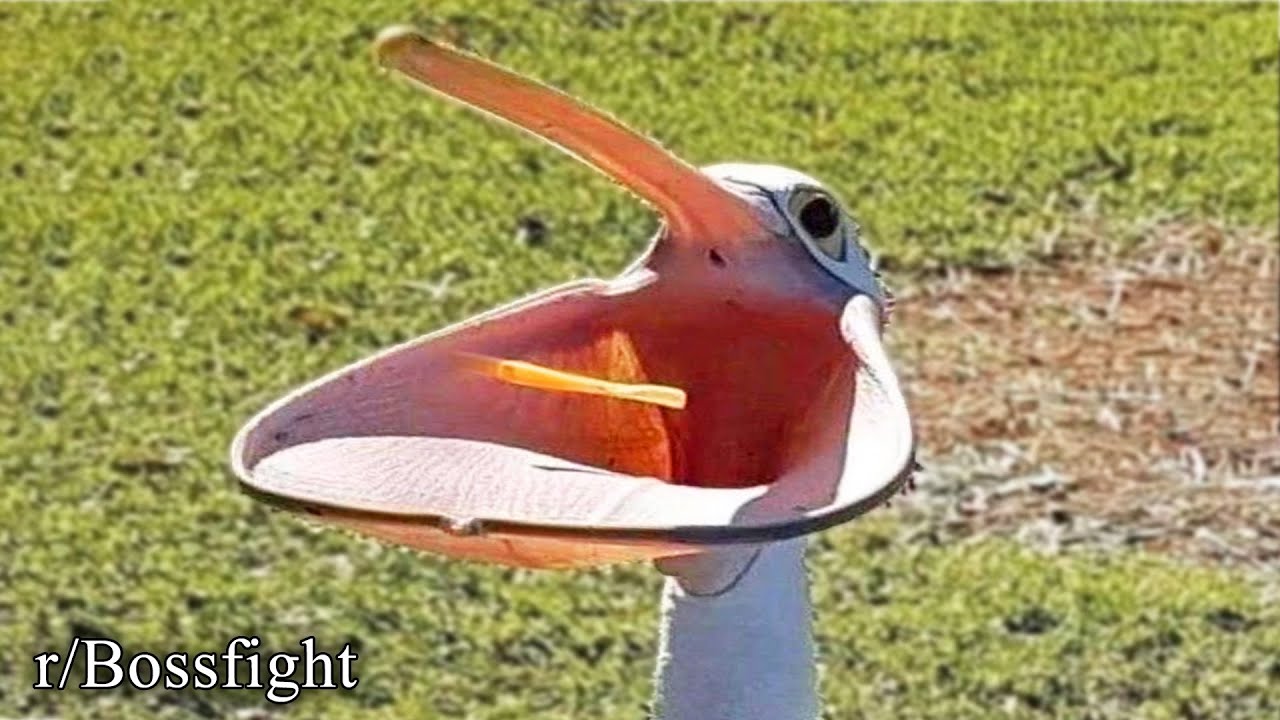 r/Bossfight | run.