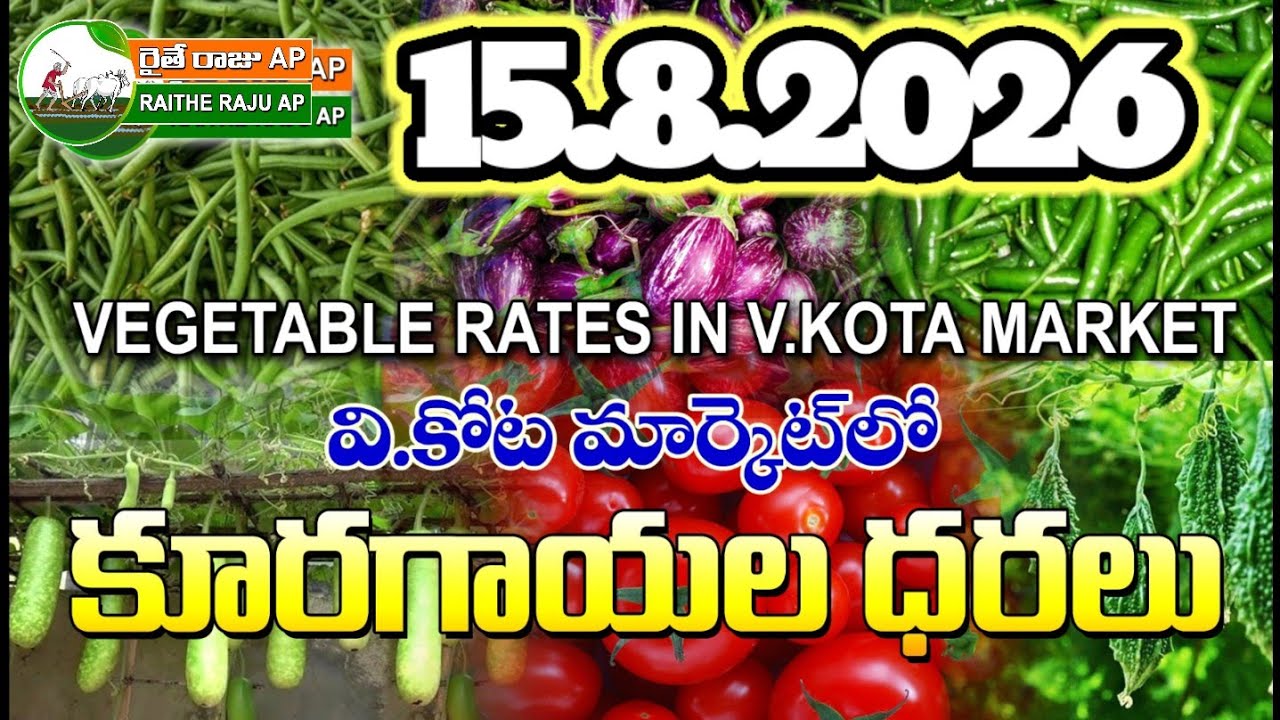 #AMC V.KOTA TODAY BEANS PRICE IN MARKET #ALL VEGETABLE PRICES #marigold 
