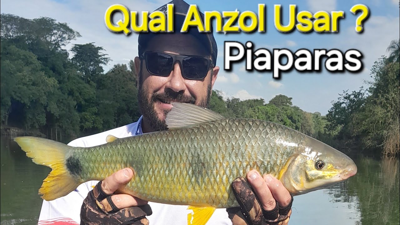Qual Anzol Usar na Pescaria de Piapara?