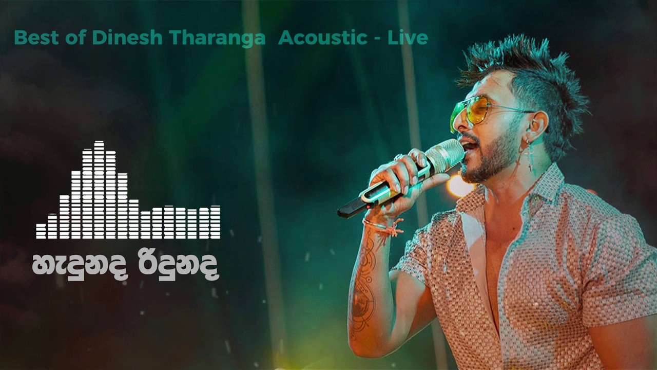 Best of Dinesh Tharanga | HADUNADA RIDUNADA |  Acoustic   Live 🎧