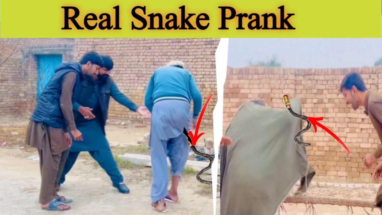 Pakistan Ka Real Snake Prank 😱 | Funny Reaction | Shahzaib Shah Official 2.0