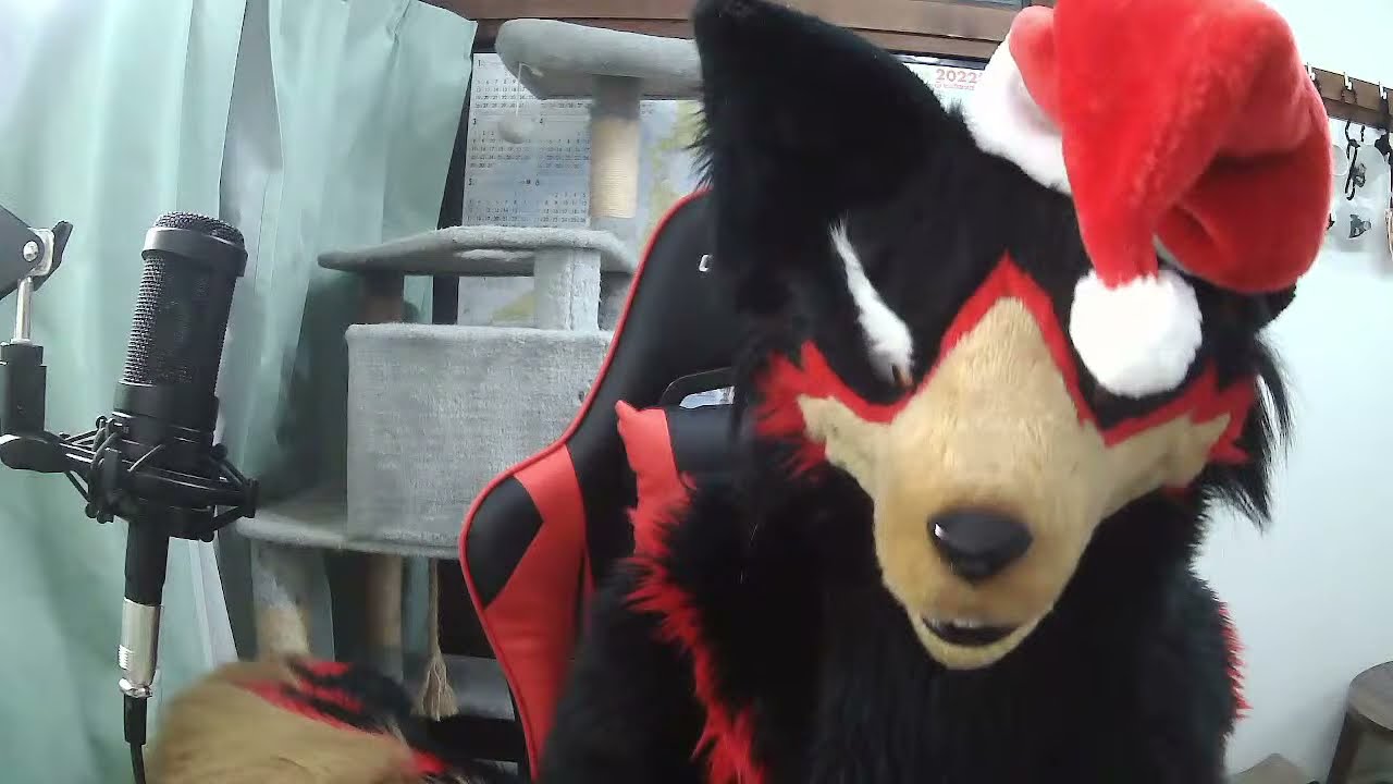 【獣化#1】Merry Christmas Liveにゃにゃ～ん😆🎂✨【Fursuit/ジュージュー】