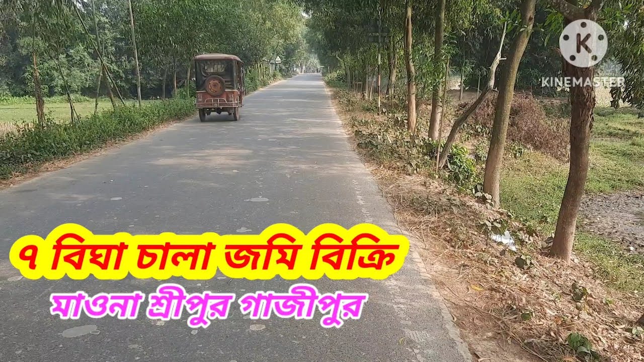 ৭ বিঘা জমি বিক্রি।। জৈনা বাজার শ্রীপুর গাজীপুর#asset seller#Land sale Sreepur Gazipur#Land for sale