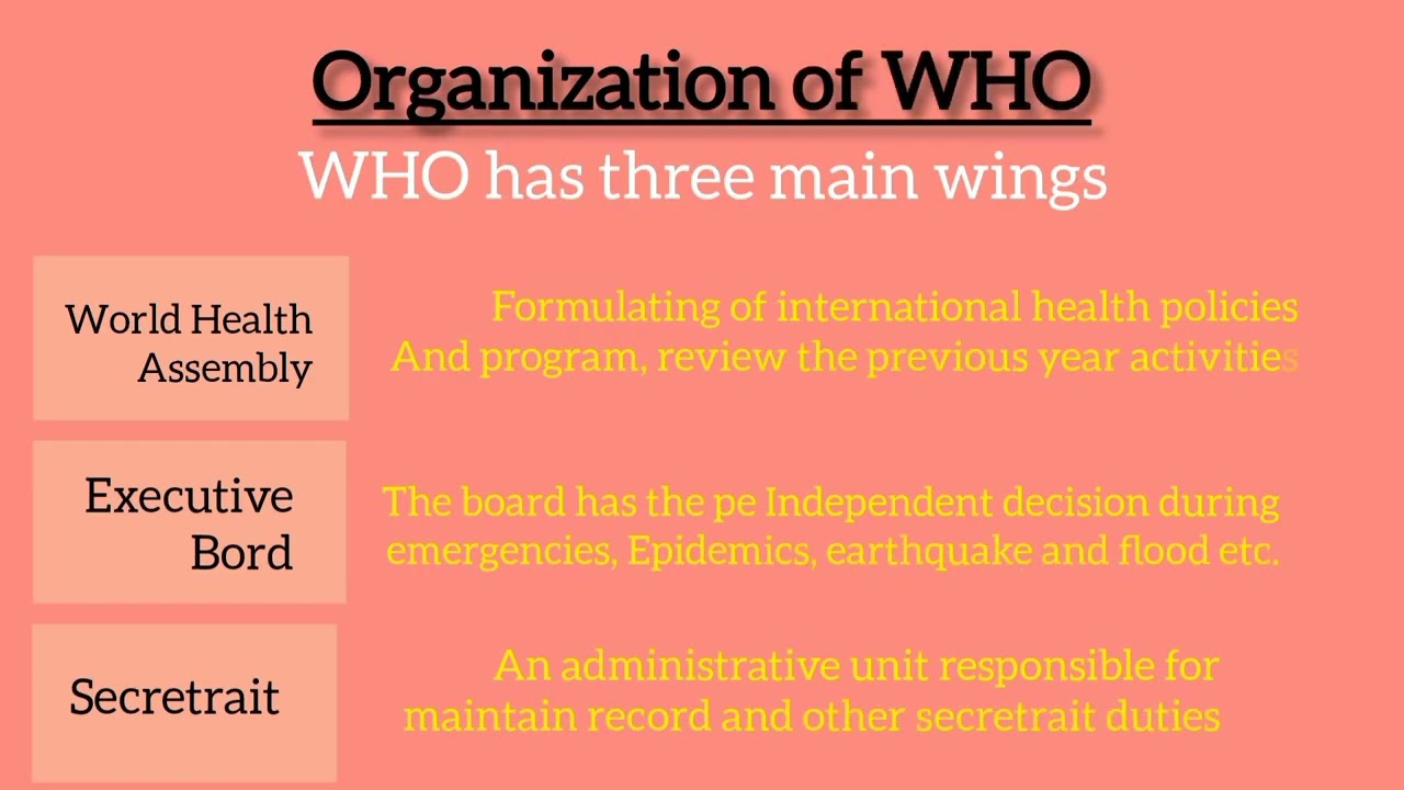Topic : WHO(world Health Organization) 
