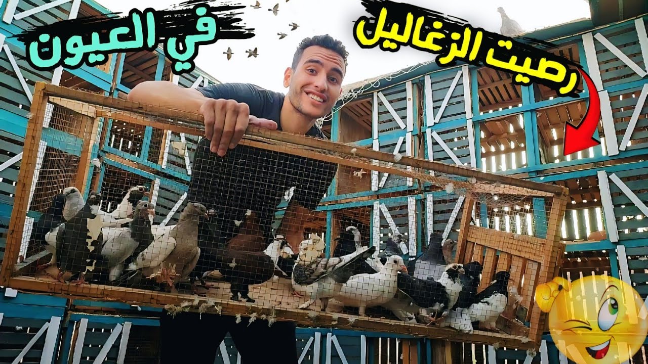 نقلت ورصيت الزغاليل الجديدة في البيبان 🤩الغية اتملت (طلع عيني 🥴)