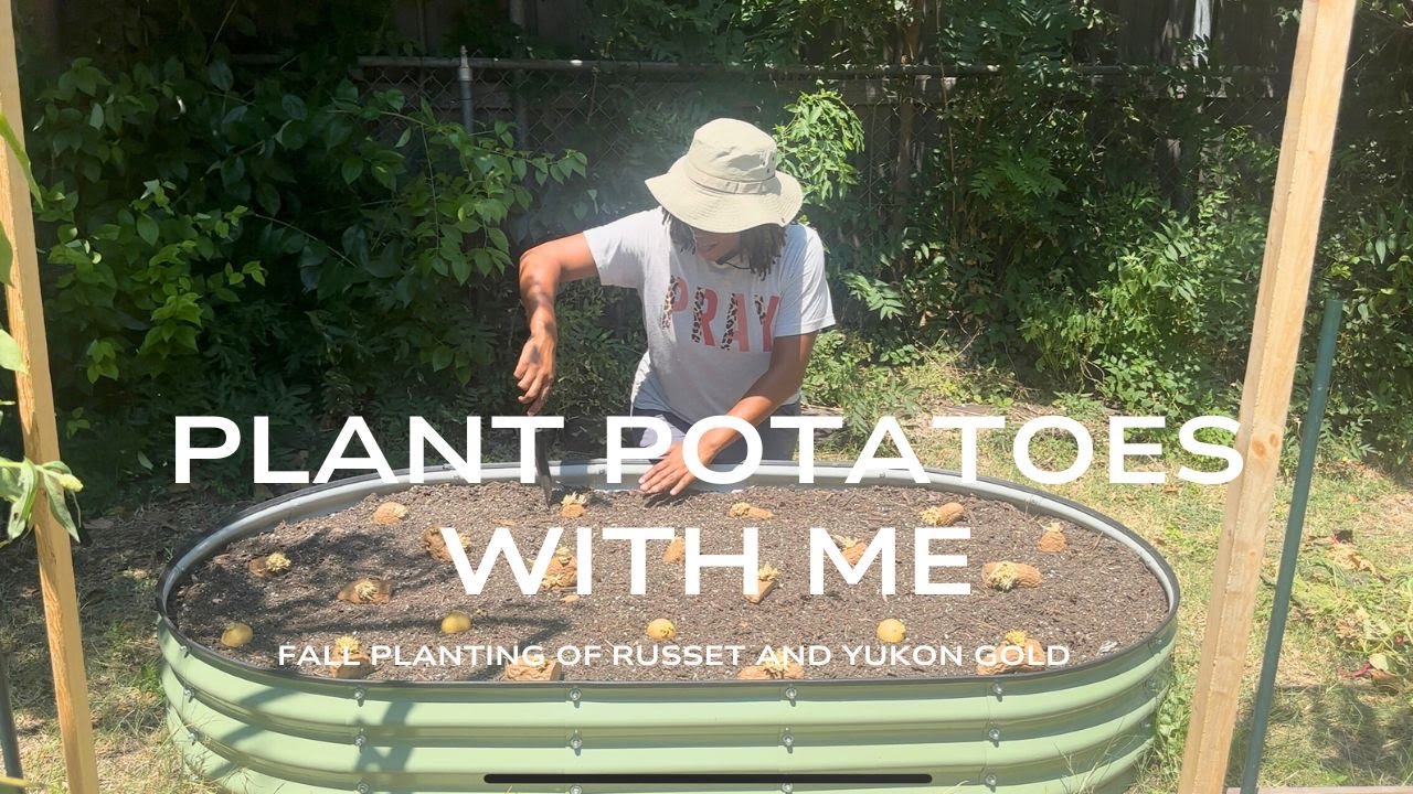 🥔 How I’m Planting Potatoes This Year | Russets & Yukon Gold in a Raised Bed