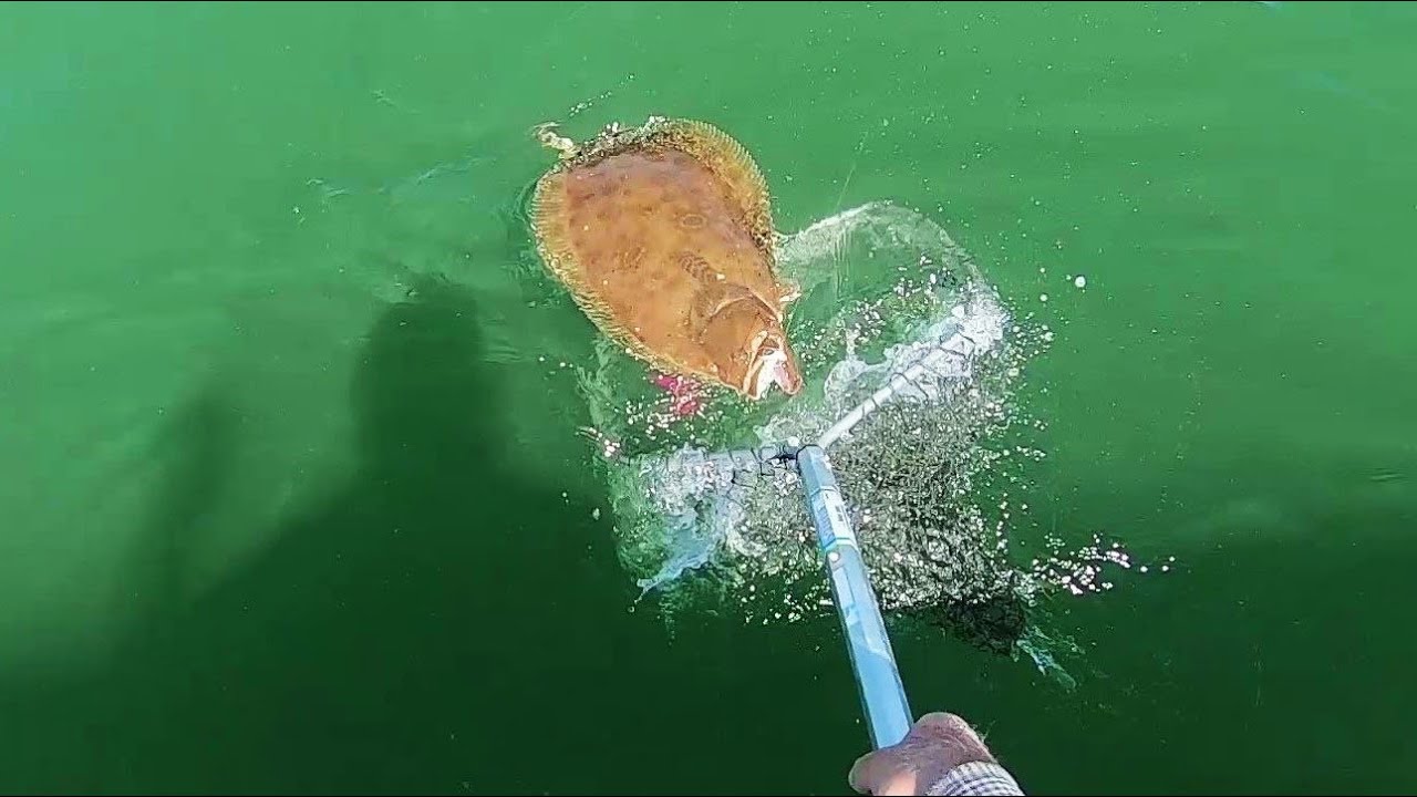 Big Fluke Completes a Slam! Plus Seabass and Porgies.