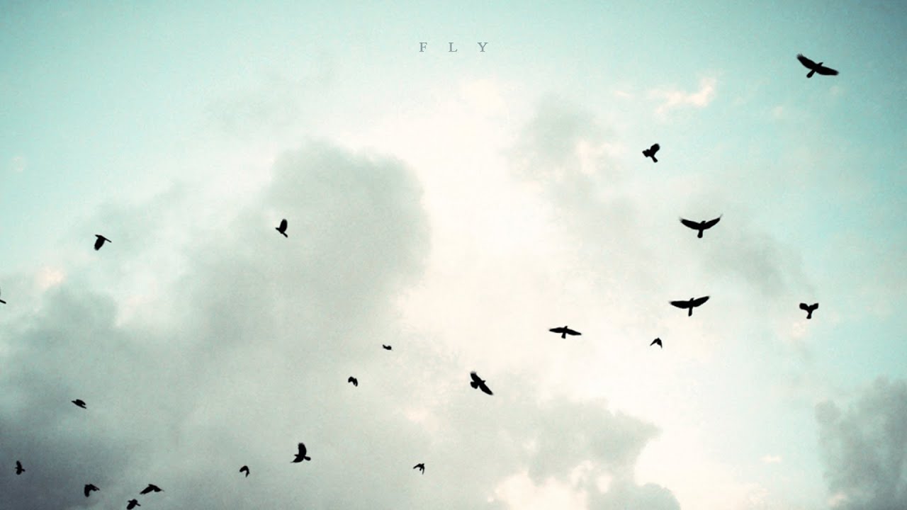 Mattia Cupelli - Fly (Instrumental) | Fly