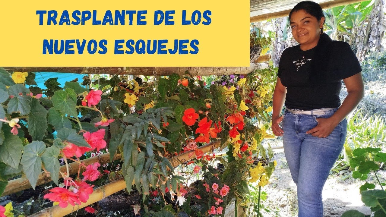 ME REGALARON MUCHOS ESQUEJES PARA MI JARDÍN 😍