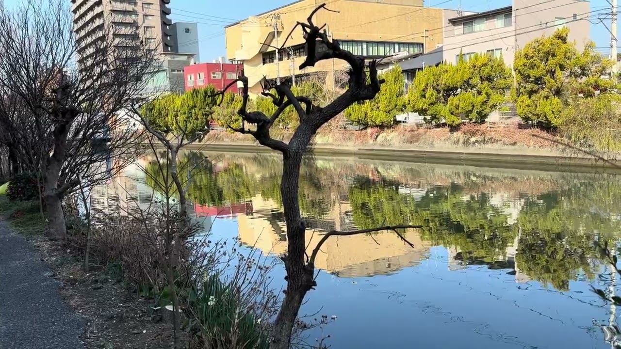 2026年2月19日