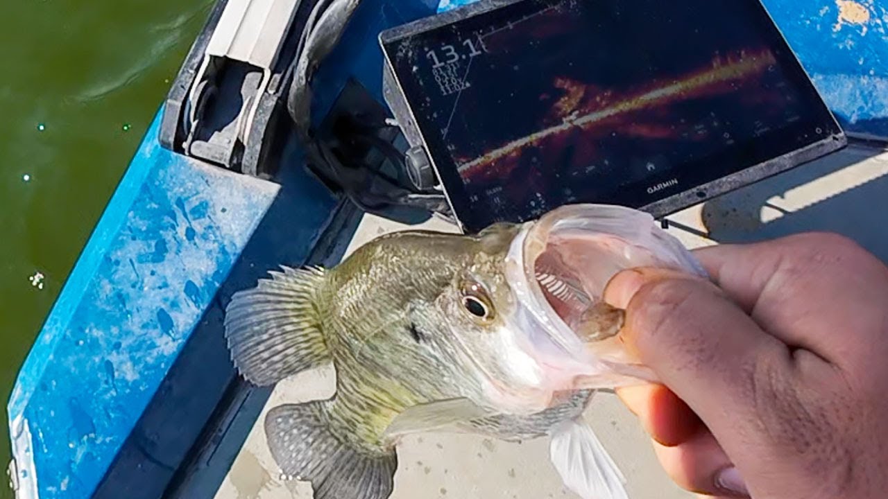 Summertime Crappie Fishing Using LIVESCOPE {catch Clean Cook}
