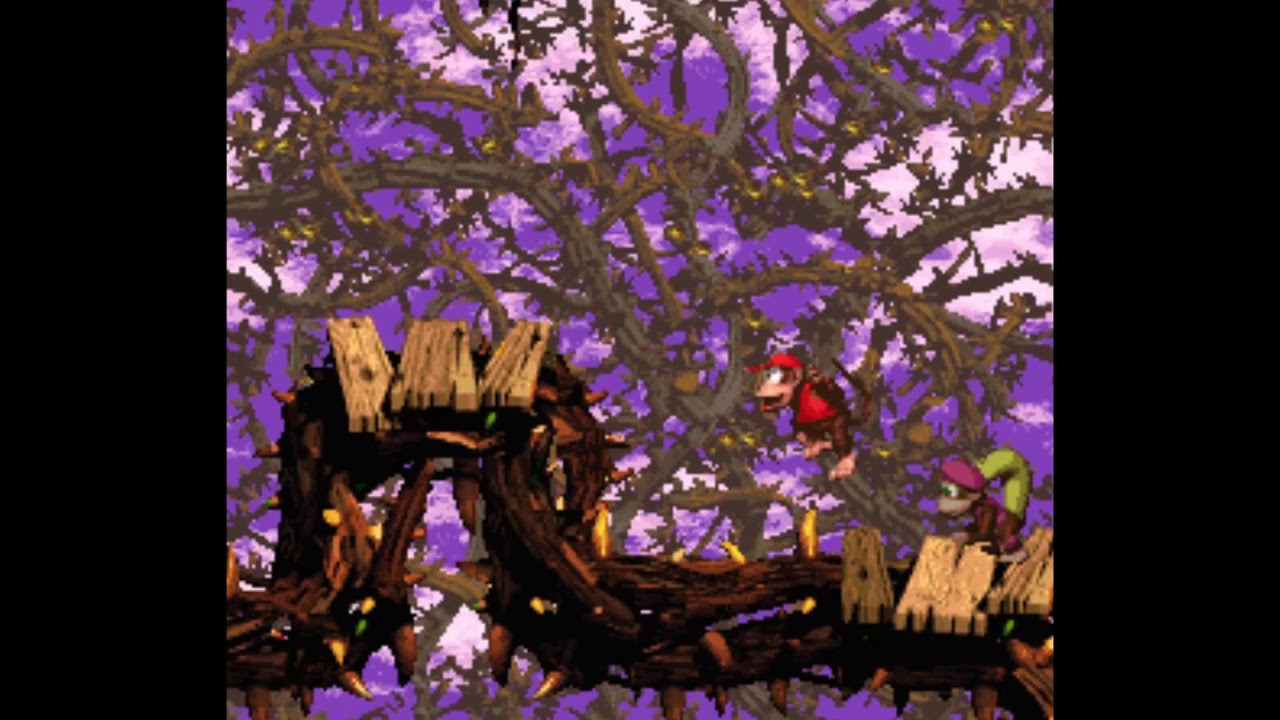 Donkey Kong Country 2: Diddy's Kong Quest- Screech's Sprint  (Bonus Coins + DK Coin Walkthrough)