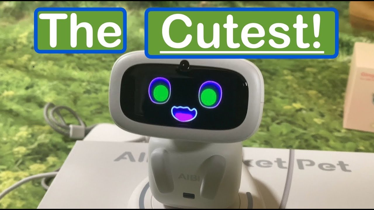 Living AI Aibi Pocket Pet Unboxing, Demonstration & Review Part 1 