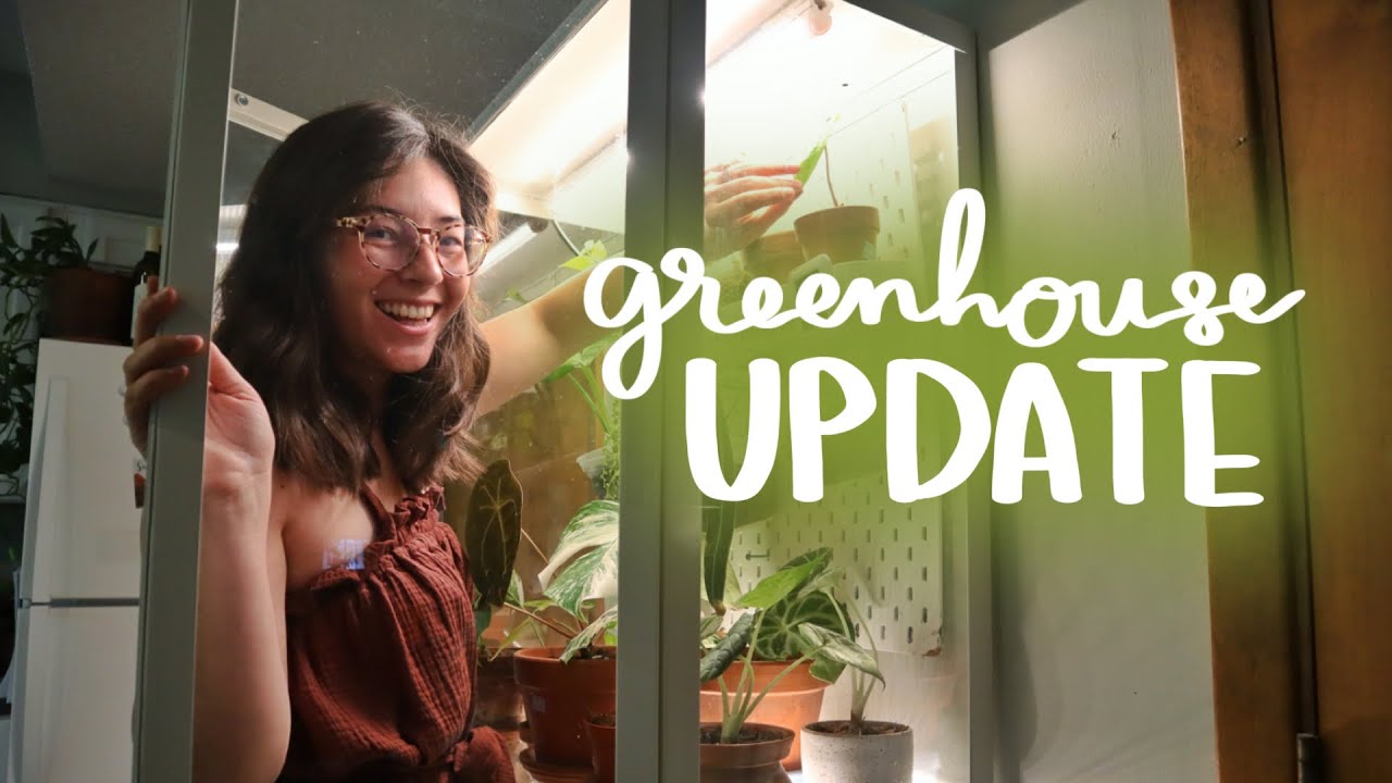 Greenhouse cabinet updates! | repotting anthurium, and setting up a smart plug!