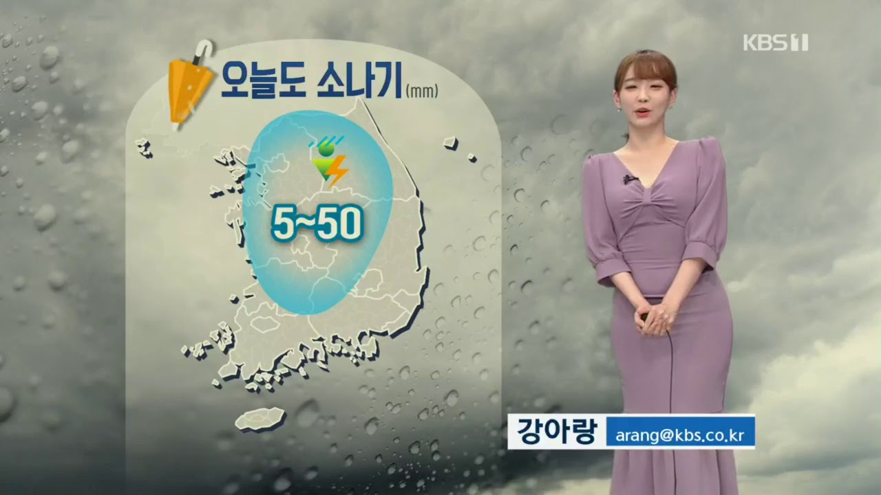 마감뉴스 강아랑기상캐스터 190809