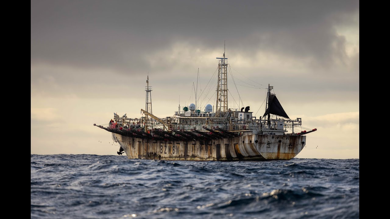 The Hospital | The Outlaw Ocean Project