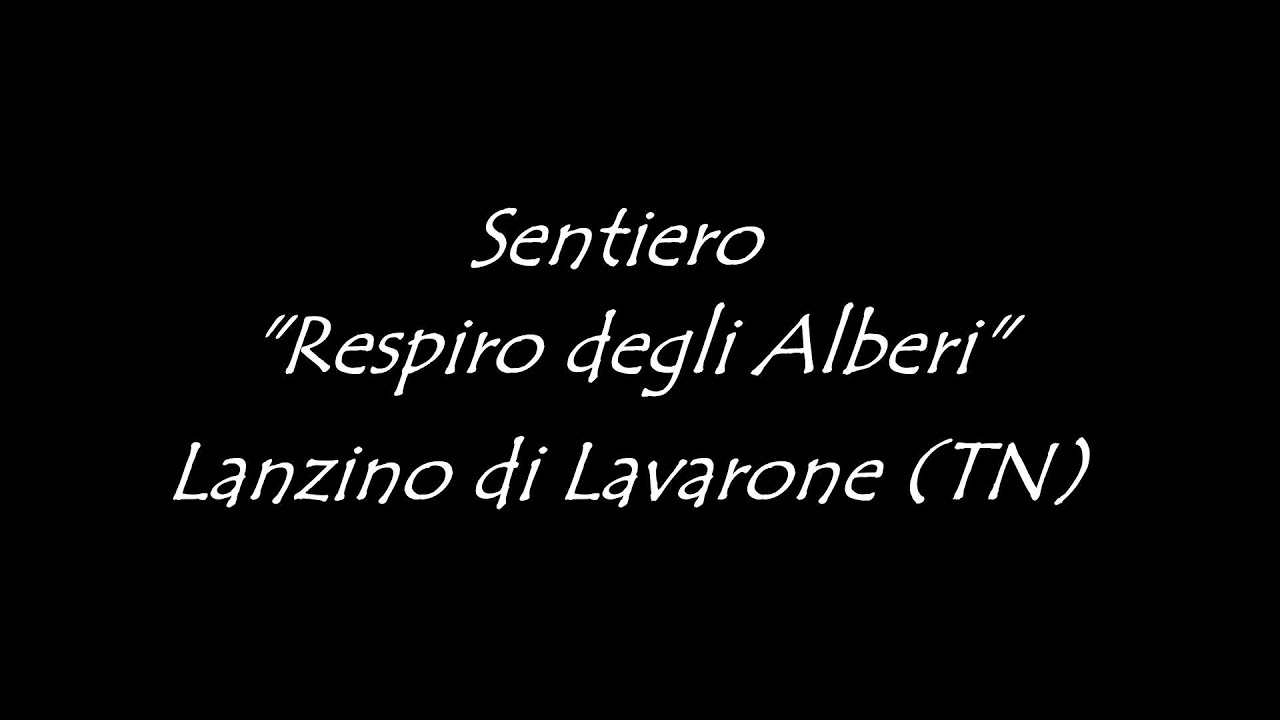 Sentiero Respiro degli Alberi - Lago di Lavarone, fraz. Lasino - Itinerari trekking per la famiglia