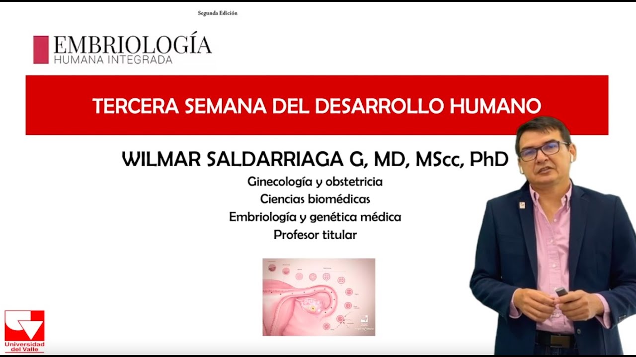 Tercera Semana- Capitulo 7, Embriologia Humana Integrada