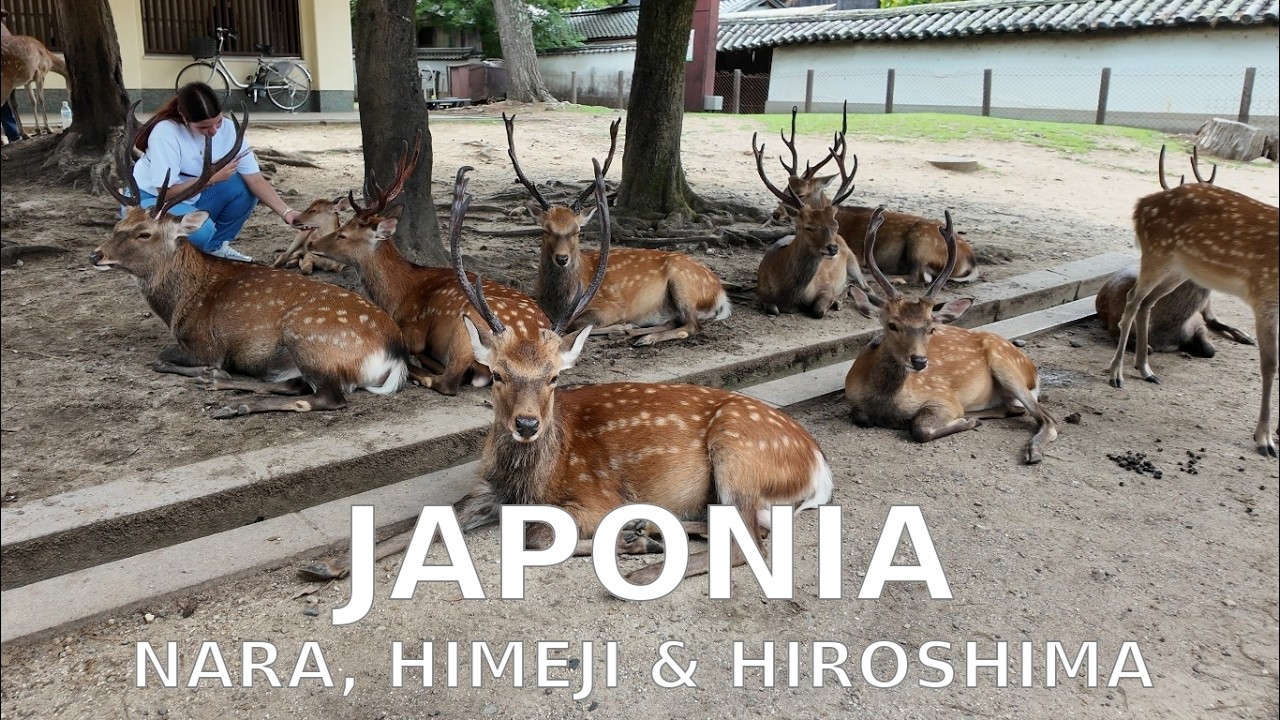 13. Japonia - Nara, Himeji, Hiroshima i dużo więcej