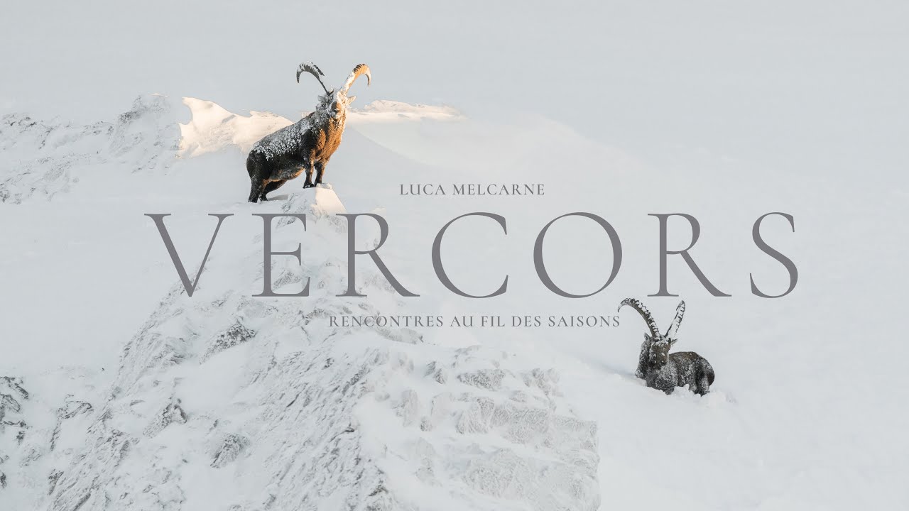 Teaser - Vercors rencontres au fil des saisons - Luca Melcarne