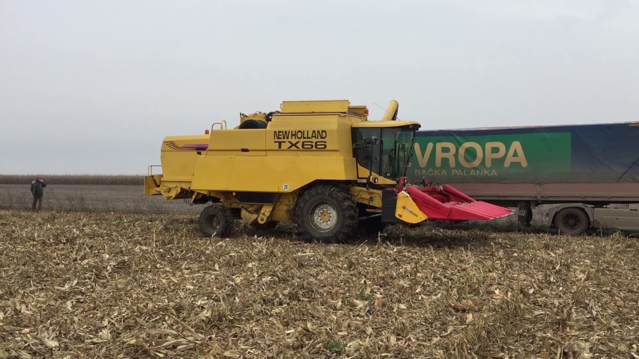New Holland TX 66 with capello QUASAR Combine Corn harvest