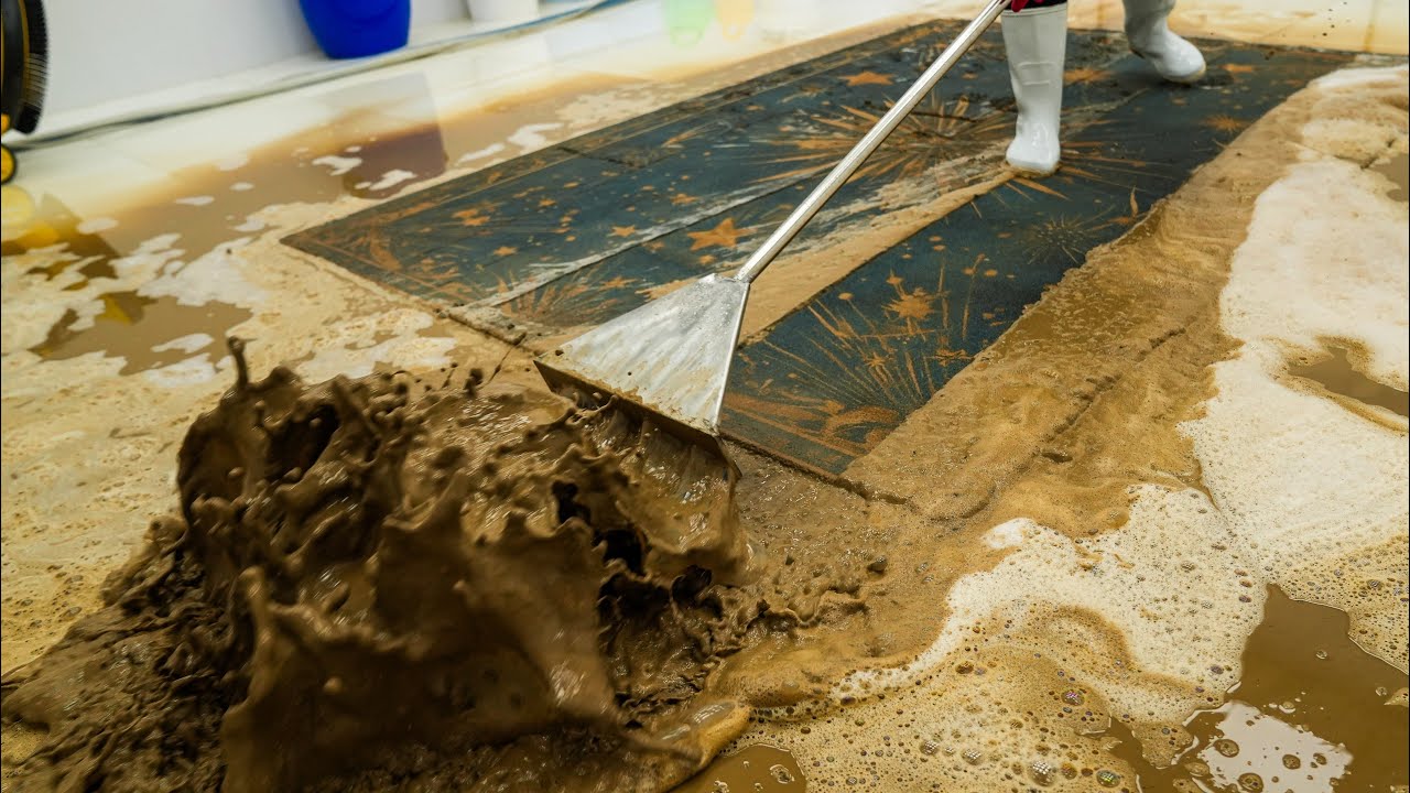 Extremely Dirty Rug & Carpet Cleaning  Massive Mud Removal ASMR