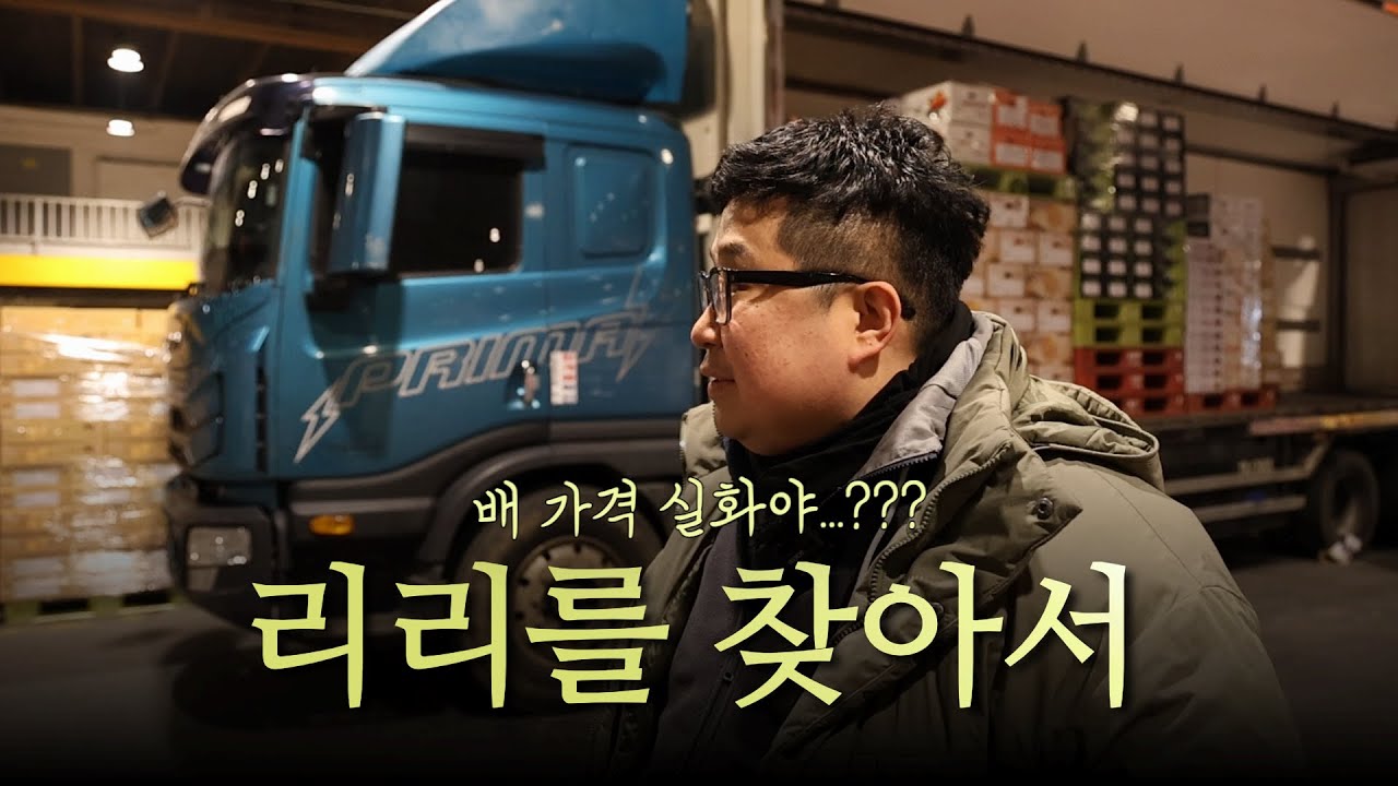 리리를 찾아서(배 가격 실화야..?)