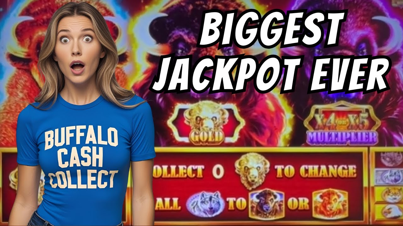 NEW SLOT Massive Jackpot Best Buffalo Cash Collect #2025 #4k