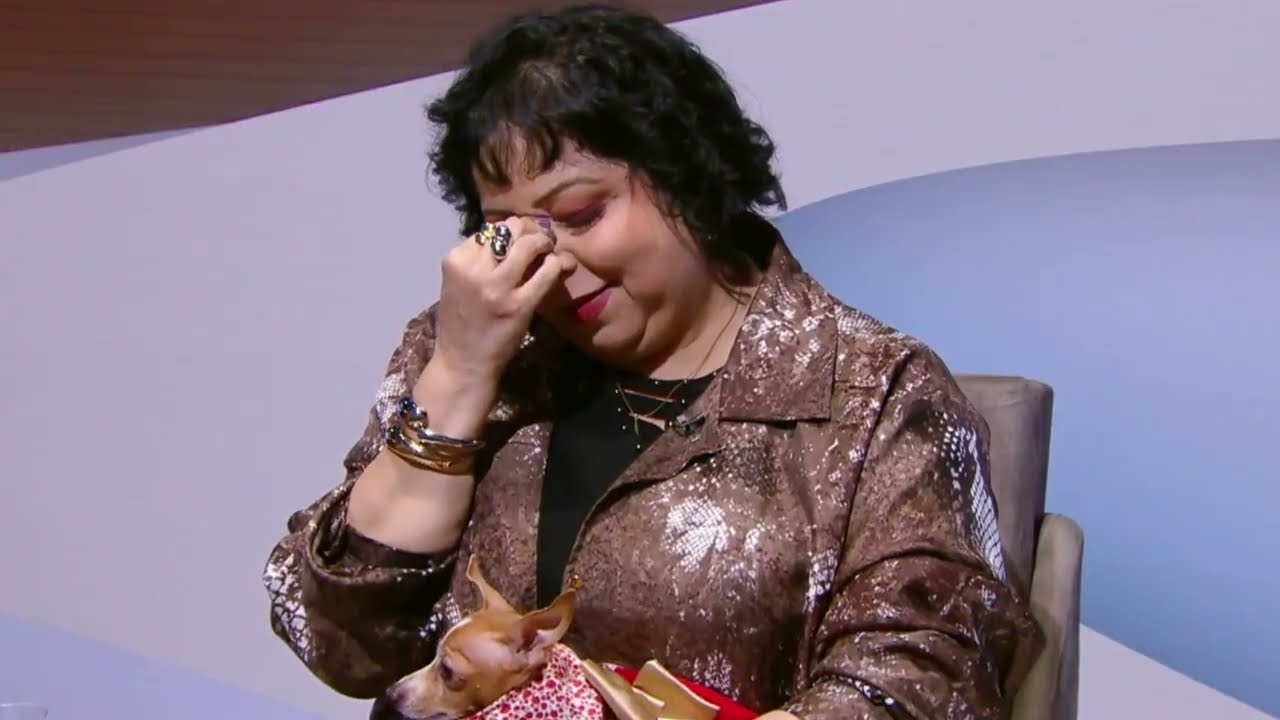 MELHORES MOMENTOS com Tulla Luana no Roda Solta