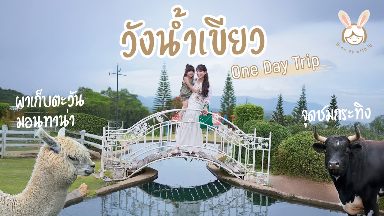 วังน้ำเขียว 1 วัน 4 ที่ | กังหันลมเขายายเที่ยง มอนทาน่าฟาร์ม จุดชมกระทิง ผาเก็บตะวัน