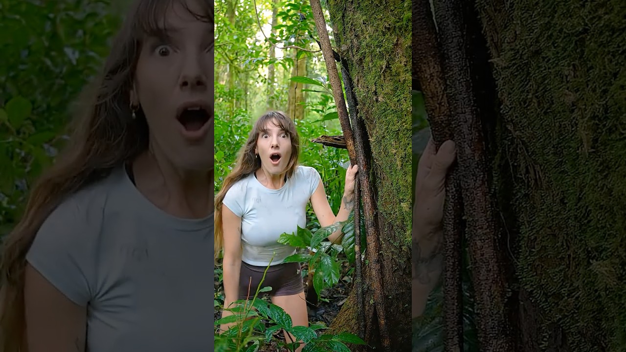 This Could Save Your Life 💪 Jungle Survival #survival #jungle #outdoors #lifehacks
