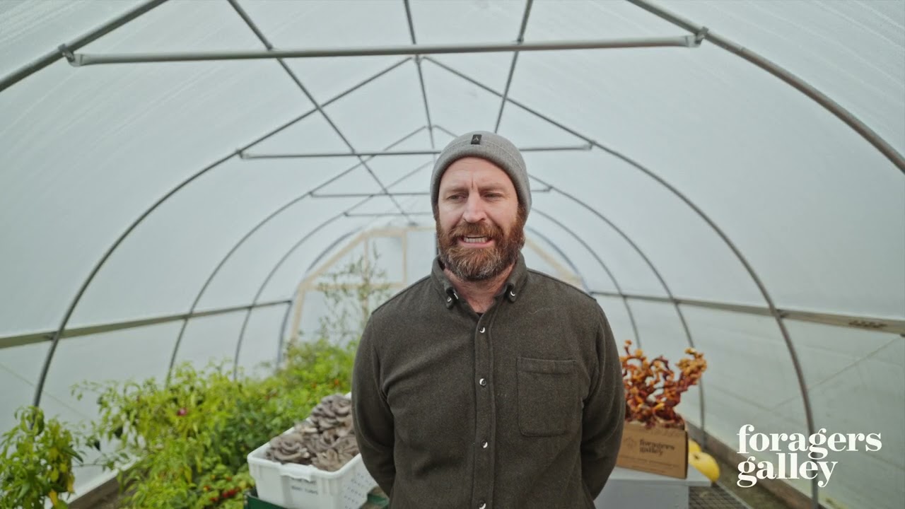 Foragers Galley Operation Interview