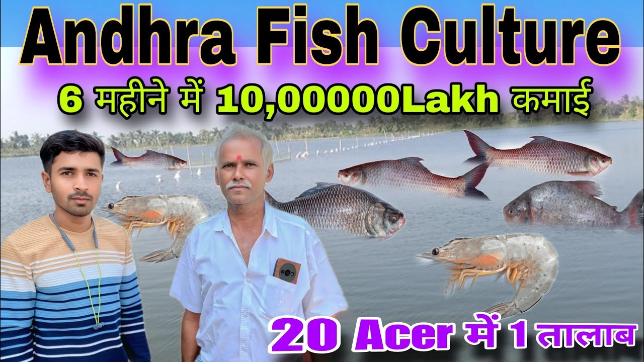 Andhra Pradesh Fish Farming #Process# Andra Fish Culture # आंध्र प्रदेश में कैसे करते हैं मछली पालन 