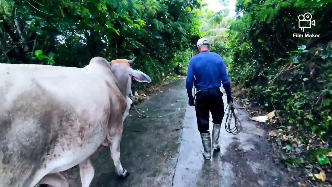 Imaximize ang 1-2 hectares na pasture land