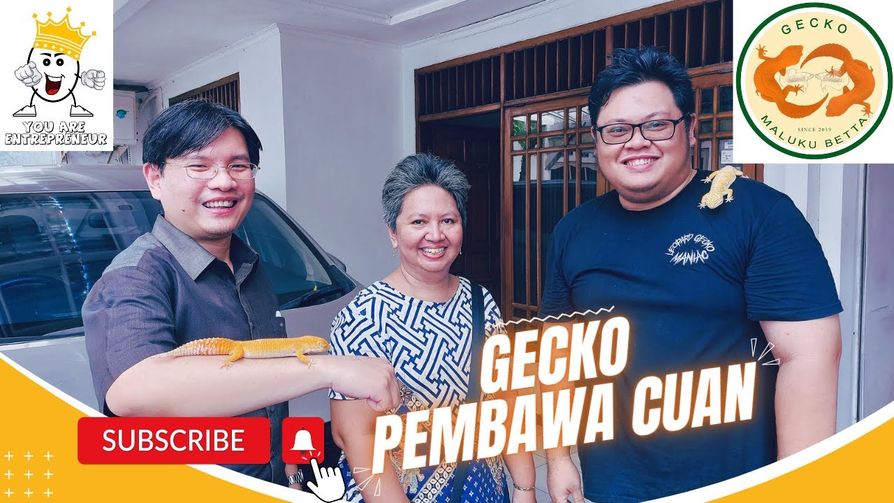 Gecko Pembawa Cuan - Peluang Usaha Bisnis Gecko