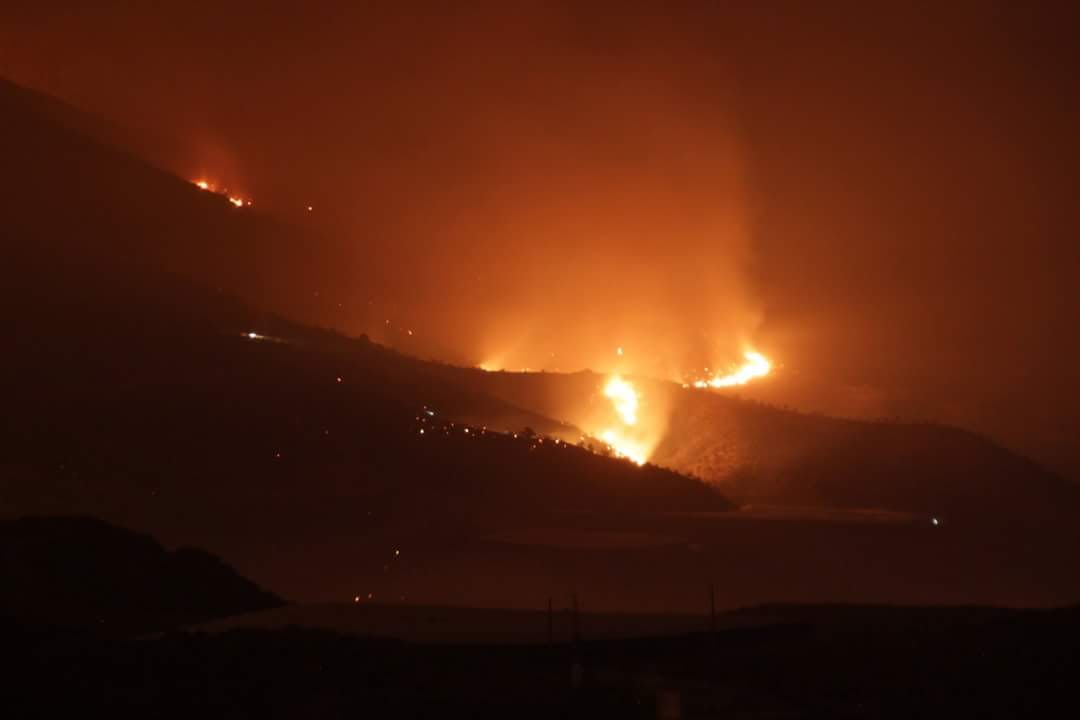 Incendio forestal Quesada (Jaén)
