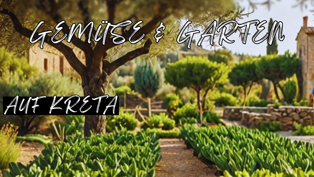 Gemüsegarten auf Kreta, VLOG Ein- und Rückblicke