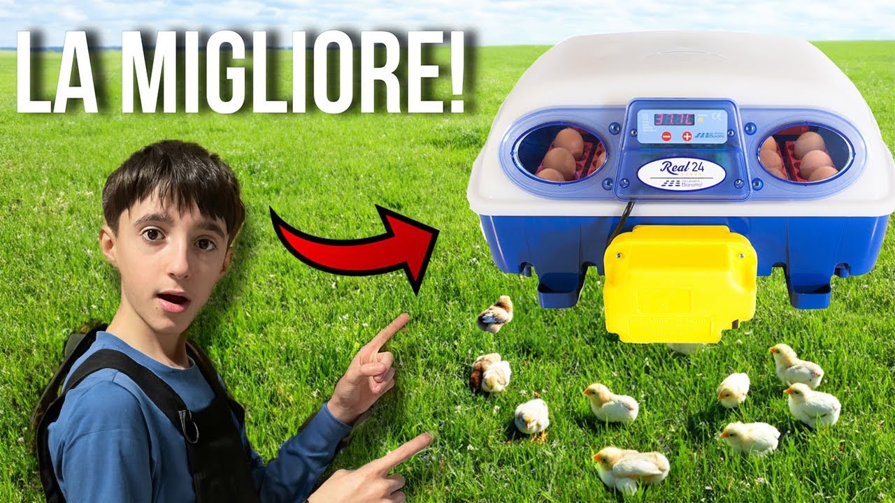questa &egrave; la MIGLIOR marca di INCUBATRICI! (100% Italiana🇮🇹)