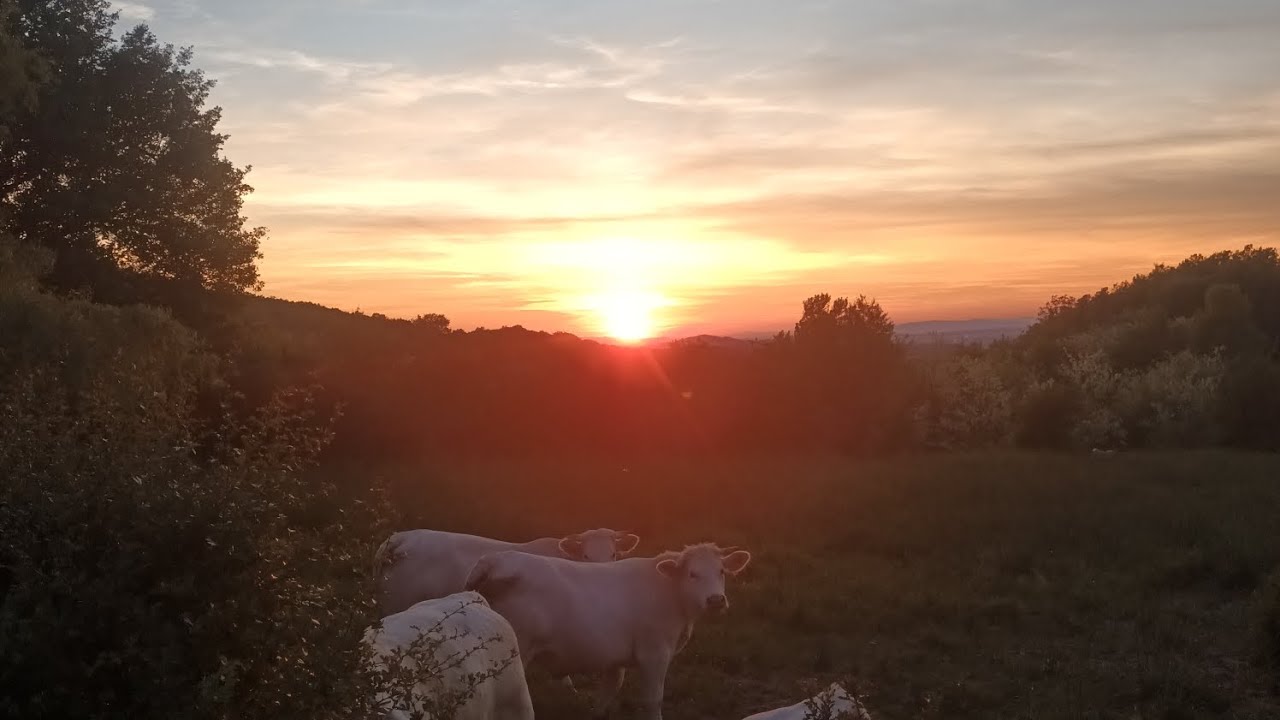 Lionel vous dit tout !!!