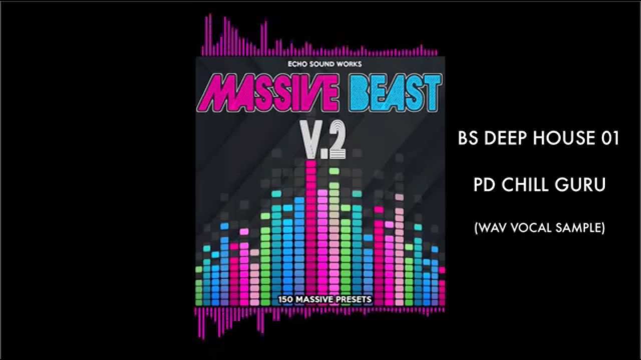Echo Sound Works - Massive Beast V.2 Demo - NI Massive Soundset