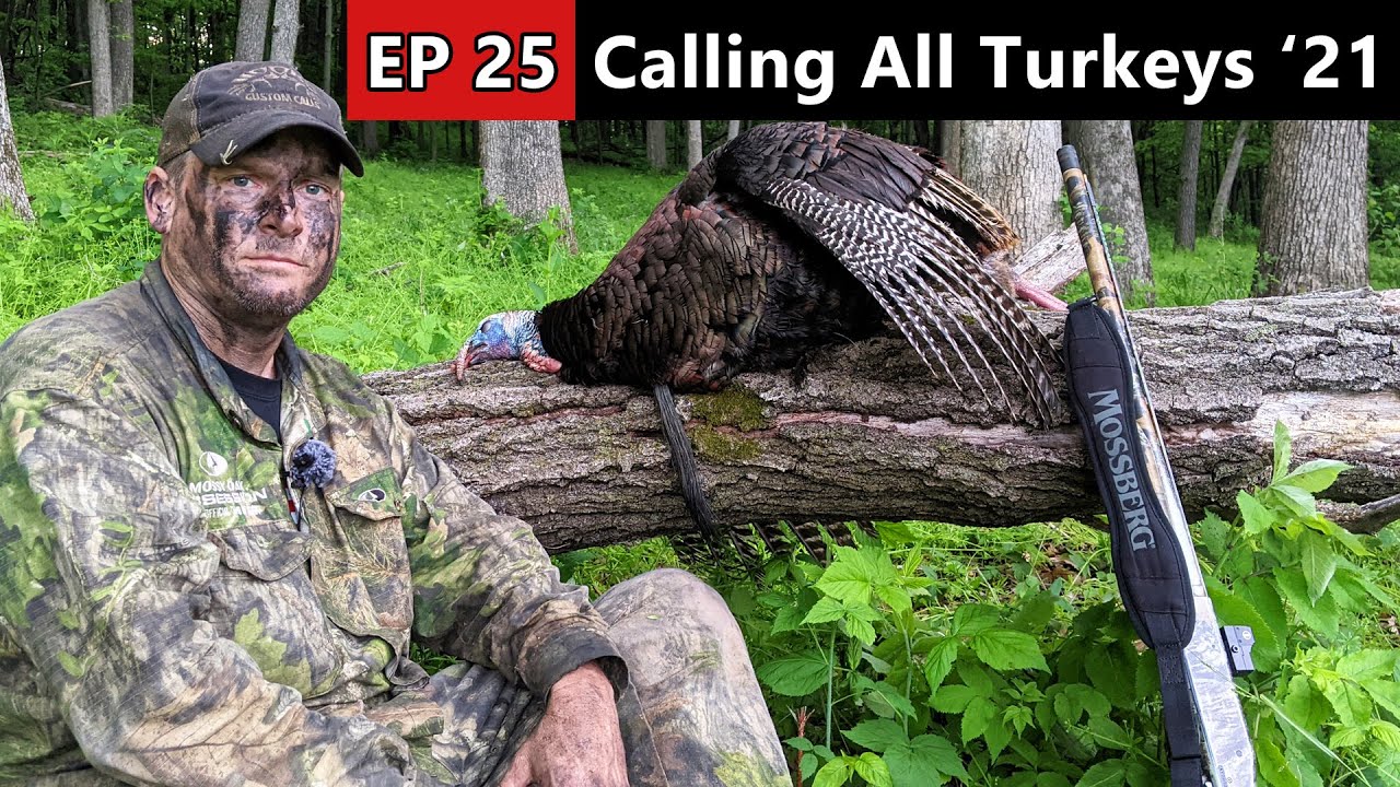 Охота на индейку на краю вашего места! - Безумно горячая индейка!!! - Общественные земли Висконсина