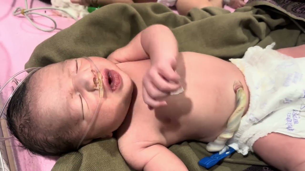 Newborn Baby Crying in the NICU | Emotional Moments in Neonatal Care 