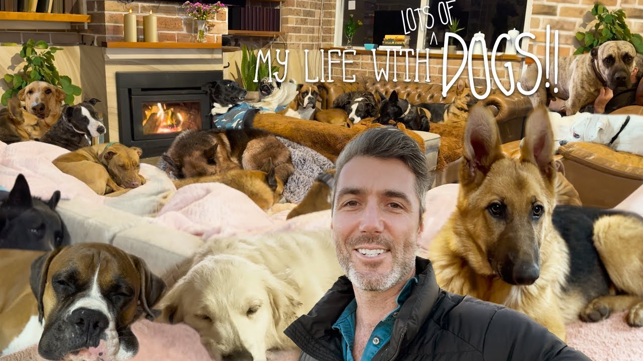 Putting My 21 Dogs to Bed - EVENING ROUTINE