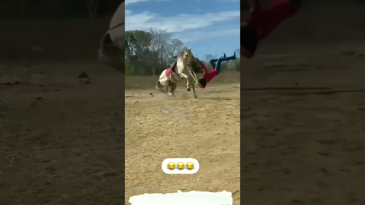Horse out of control 🐎