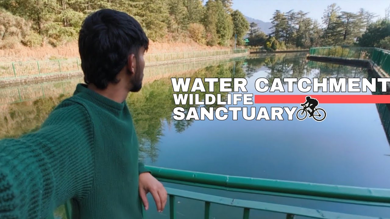 Peace in the Pines:Water Catchment Wildlife Sanctuary Shimla || Cycling Adventure🚴🏔️✨