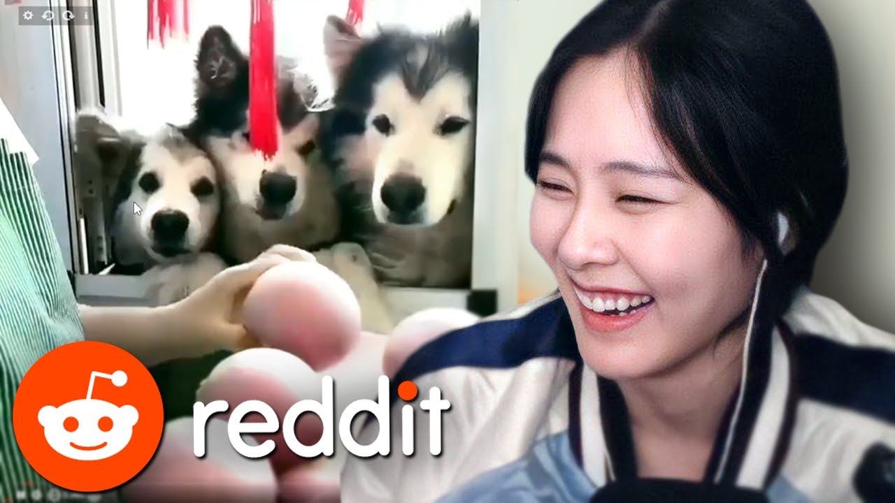 39daph Reacts to Reddit #34