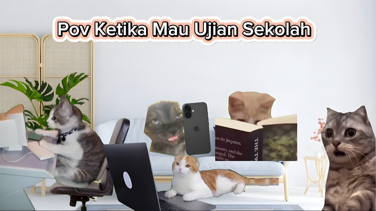 Pov Ketika Mau Ujian Sekolah | meme kucing lucu #pov #meme #kucing #cat